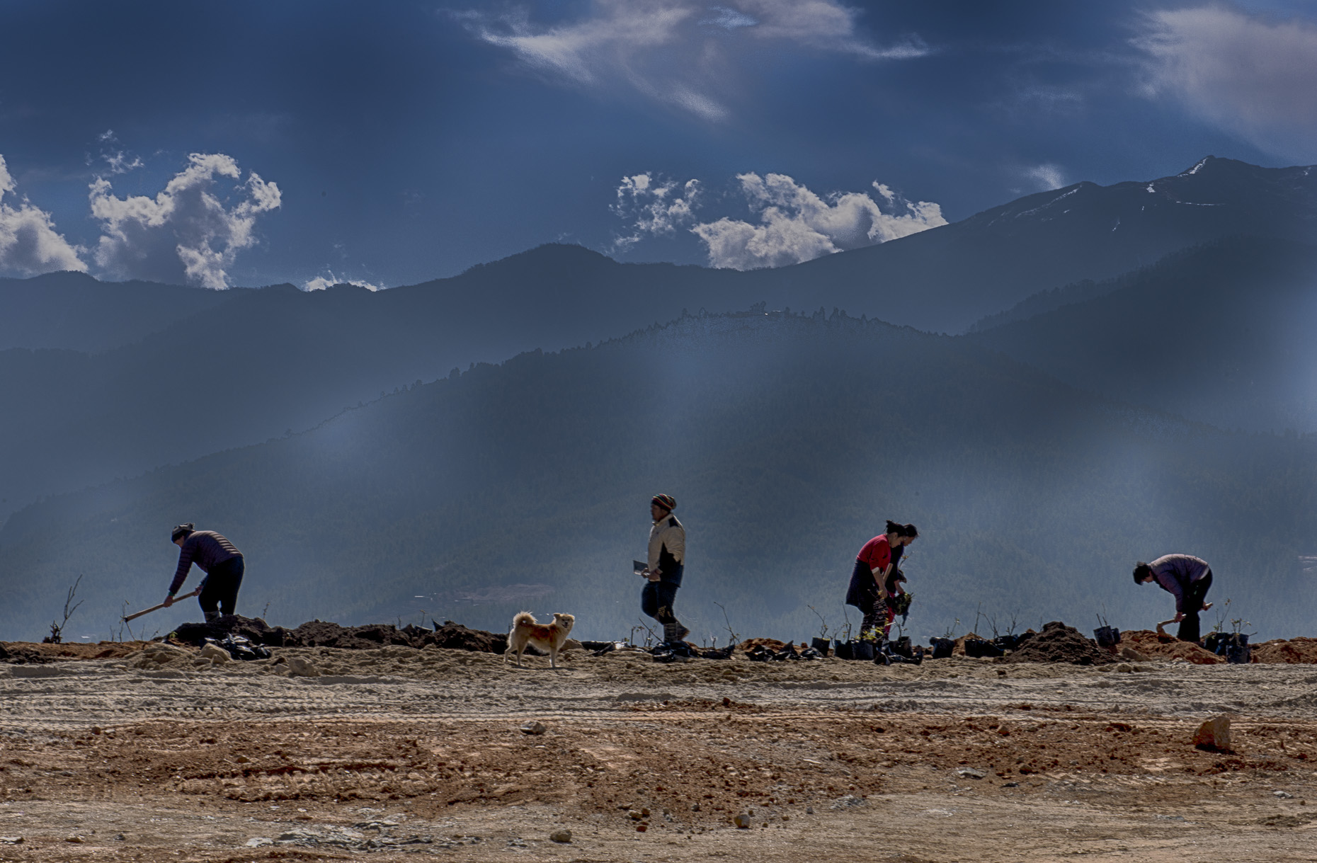 DSC_6408_HDR