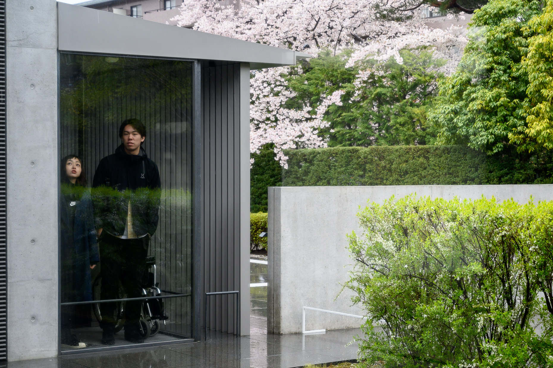 D.T. Suzuki Museum