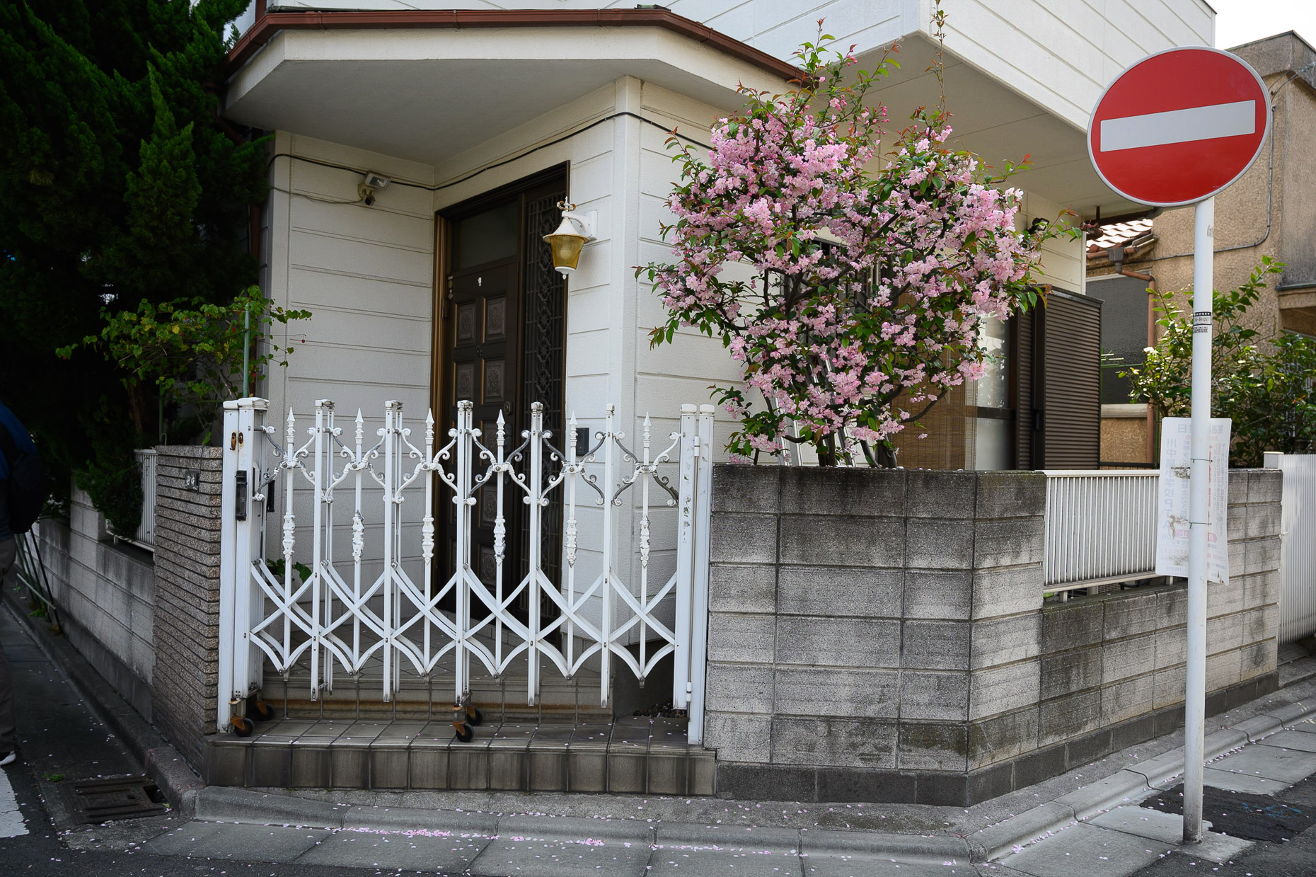 Kawasaki House