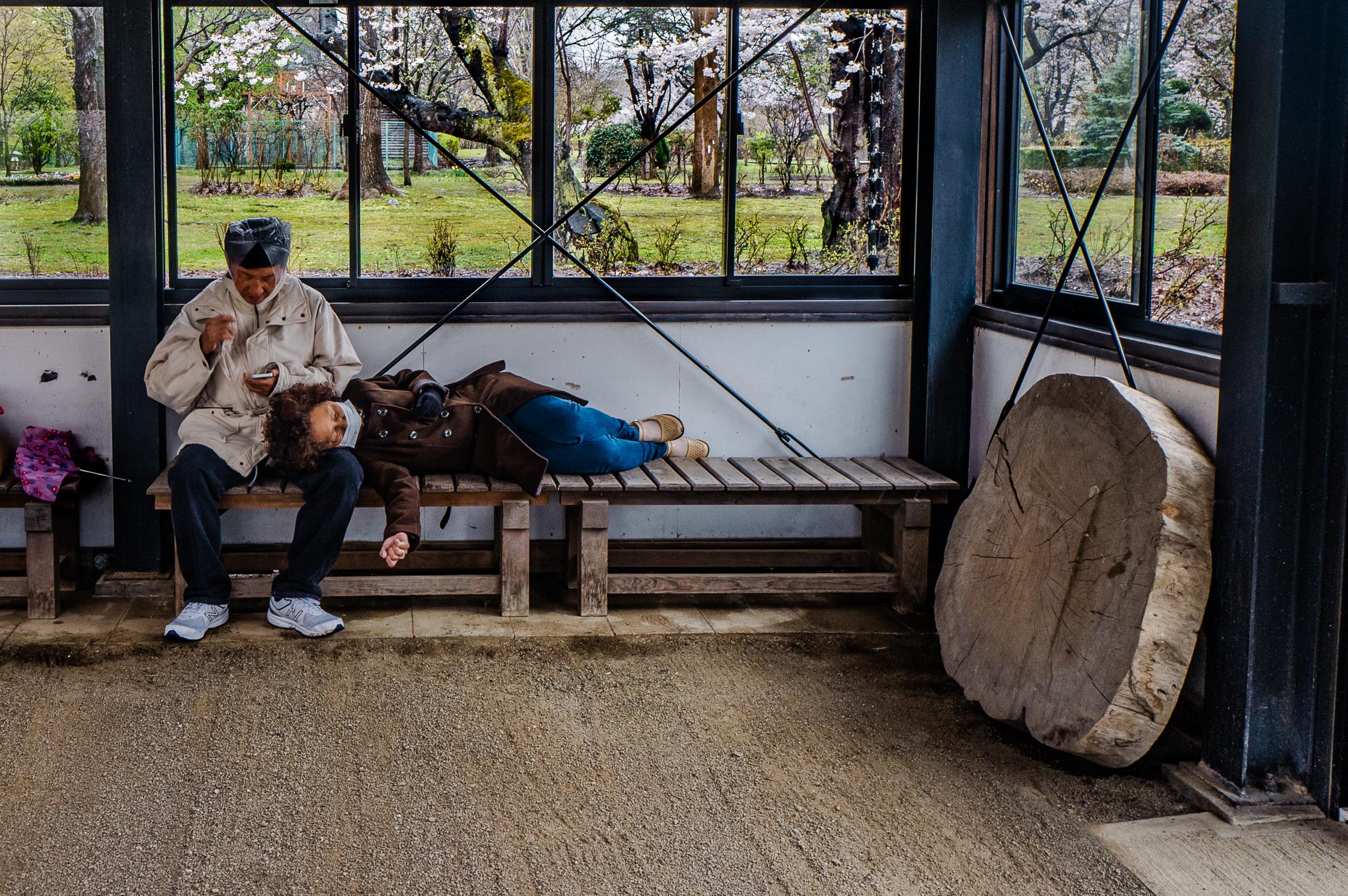 Hirosaki, Japan 2017
