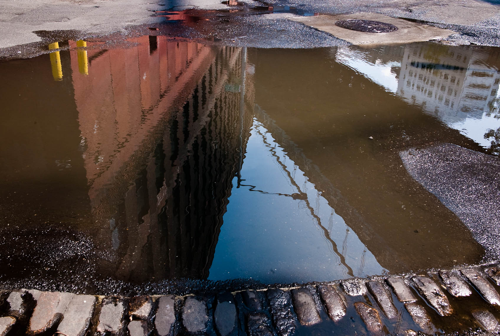 nyc-15.jpg